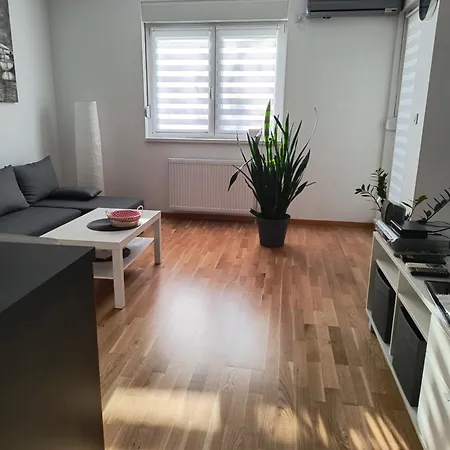 Daire Miyaki Belgrad